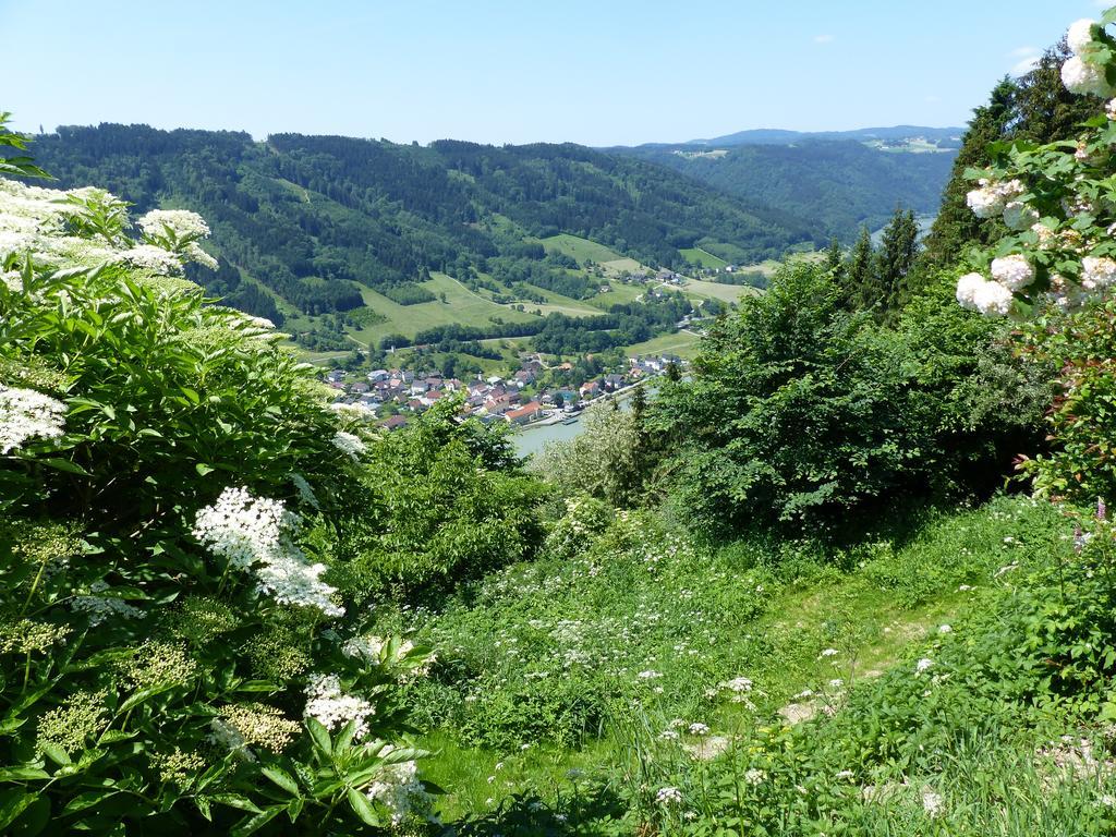 Zum Schiffmeister Wesenufer ภายนอก รูปภาพ
